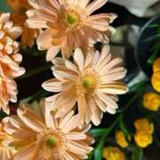 ヒメ日記 2025/04/11 12:14 投稿 奥山 極上でエッチな人妻