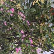 ヒメ日記 2025/04/12 12:12 投稿 奥山 極上でエッチな人妻