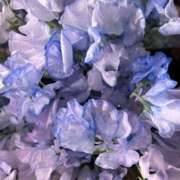 ヒメ日記 2025/04/15 12:10 投稿 奥山 極上でエッチな人妻