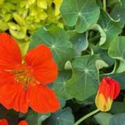 ヒメ日記 2025/04/23 13:24 投稿 奥山 極上でエッチな人妻