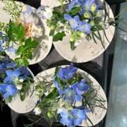 ヒメ日記 2025/04/29 12:34 投稿 奥山 極上でエッチな人妻