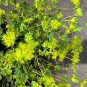 ヒメ日記 2025/05/03 14:26 投稿 奥山 極上でエッチな人妻