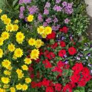 ヒメ日記 2025/05/18 12:46 投稿 奥山 極上でエッチな人妻