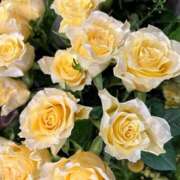 ヒメ日記 2025/05/20 12:46 投稿 奥山 極上でエッチな人妻