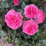 ヒメ日記 2025/05/22 12:20 投稿 奥山 極上でエッチな人妻