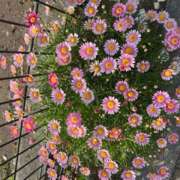 ヒメ日記 2025/05/28 14:10 投稿 奥山 極上でエッチな人妻