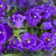 ヒメ日記 2025/05/30 12:32 投稿 奥山 極上でエッチな人妻