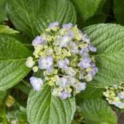 ヒメ日記 2025/05/31 16:06 投稿 奥山 極上でエッチな人妻