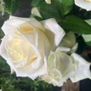 ヒメ日記 2025/06/04 12:46 投稿 奥山 極上でエッチな人妻