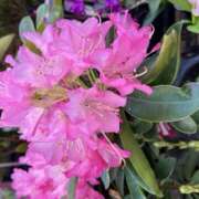 ヒメ日記 2025/06/10 16:14 投稿 奥山 極上でエッチな人妻