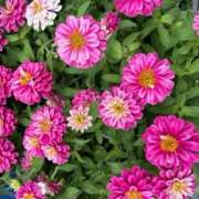 ヒメ日記 2025/06/19 12:12 投稿 奥山 極上でエッチな人妻