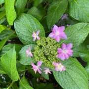 ヒメ日記 2025/06/21 12:14 投稿 奥山 極上でエッチな人妻