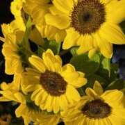 ヒメ日記 2025/06/22 12:52 投稿 奥山 極上でエッチな人妻