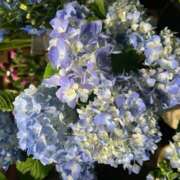 ヒメ日記 2025/06/27 12:30 投稿 奥山 極上でエッチな人妻