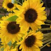 ヒメ日記 2025/07/09 13:00 投稿 奥山 極上でエッチな人妻