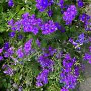 ヒメ日記 2025/07/25 12:30 投稿 奥山 極上でエッチな人妻