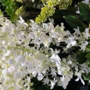 ヒメ日記 2025/07/27 12:18 投稿 奥山 極上でエッチな人妻