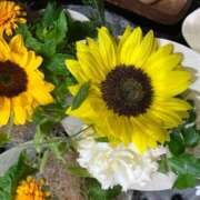 ヒメ日記 2025/08/29 12:56 投稿 奥山 極上でエッチな人妻