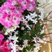 ヒメ日記 2025/09/04 12:12 投稿 奥山 極上でエッチな人妻