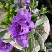 ヒメ日記 2025/09/09 12:16 投稿 奥山 極上でエッチな人妻