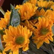 ヒメ日記 2025/09/12 12:24 投稿 奥山 極上でエッチな人妻