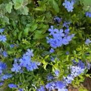 ヒメ日記 2025/09/19 12:26 投稿 奥山 極上でエッチな人妻