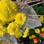 ヒメ日記 2025/09/26 12:34 投稿 奥山 極上でエッチな人妻