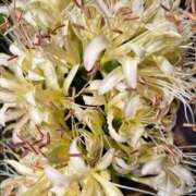 ヒメ日記 2025/10/05 12:16 投稿 奥山 極上でエッチな人妻