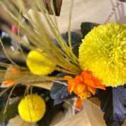 ヒメ日記 2025/10/10 12:40 投稿 奥山 極上でエッチな人妻