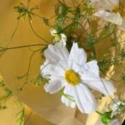 ヒメ日記 2025/10/24 12:24 投稿 奥山 極上でエッチな人妻