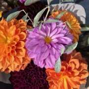 ヒメ日記 2025/11/04 14:36 投稿 奥山 極上でエッチな人妻