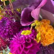 ヒメ日記 2025/11/11 12:22 投稿 奥山 極上でエッチな人妻