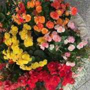 ヒメ日記 2025/11/18 13:26 投稿 奥山 極上でエッチな人妻