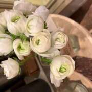 ヒメ日記 2025/12/09 12:18 投稿 奥山 極上でエッチな人妻