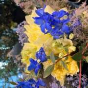 奥山 奥山です(^ ^) 極上でエッチな人妻