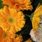 ヒメ日記 2025/12/17 15:06 投稿 奥山 極上でエッチな人妻