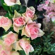 ヒメ日記 2025/12/19 12:20 投稿 奥山 極上でエッチな人妻