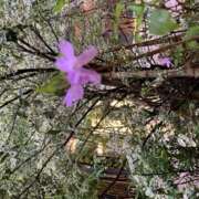 ヒメ日記 2026/01/06 12:54 投稿 奥山 極上でエッチな人妻