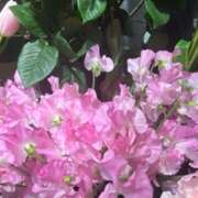 ヒメ日記 2026/02/07 12:56 投稿 奥山 極上でエッチな人妻