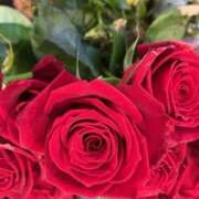 ヒメ日記 2026/02/09 12:10 投稿 奥山 極上でエッチな人妻