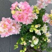 ヒメ日記 2026/02/12 14:48 投稿 奥山 極上でエッチな人妻