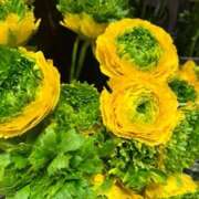 ヒメ日記 2026/02/25 16:04 投稿 奥山 極上でエッチな人妻