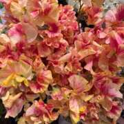 奥山 奥山です(^ ^) 極上でエッチな人妻