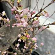 ヒメ日記 2026/03/28 12:06 投稿 奥山 極上でエッチな人妻