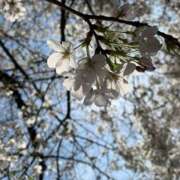 ヒメ日記 2026/04/10 15:06 投稿 奥山 極上でエッチな人妻