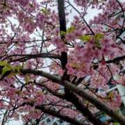 ヒメ日記 2025/03/13 22:29 投稿 なつみ 渋谷 風俗 奥様発情の会