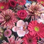 ヒメ日記 2026/01/09 23:02 投稿 なつみ 渋谷 風俗 奥様発情の会