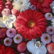 ヒメ日記 2026/01/18 09:15 投稿 なつみ 渋谷 風俗 奥様発情の会