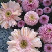 ヒメ日記 2026/01/22 19:25 投稿 なつみ 渋谷 風俗 奥様発情の会