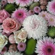 ヒメ日記 2026/01/26 18:10 投稿 なつみ 渋谷 風俗 奥様発情の会